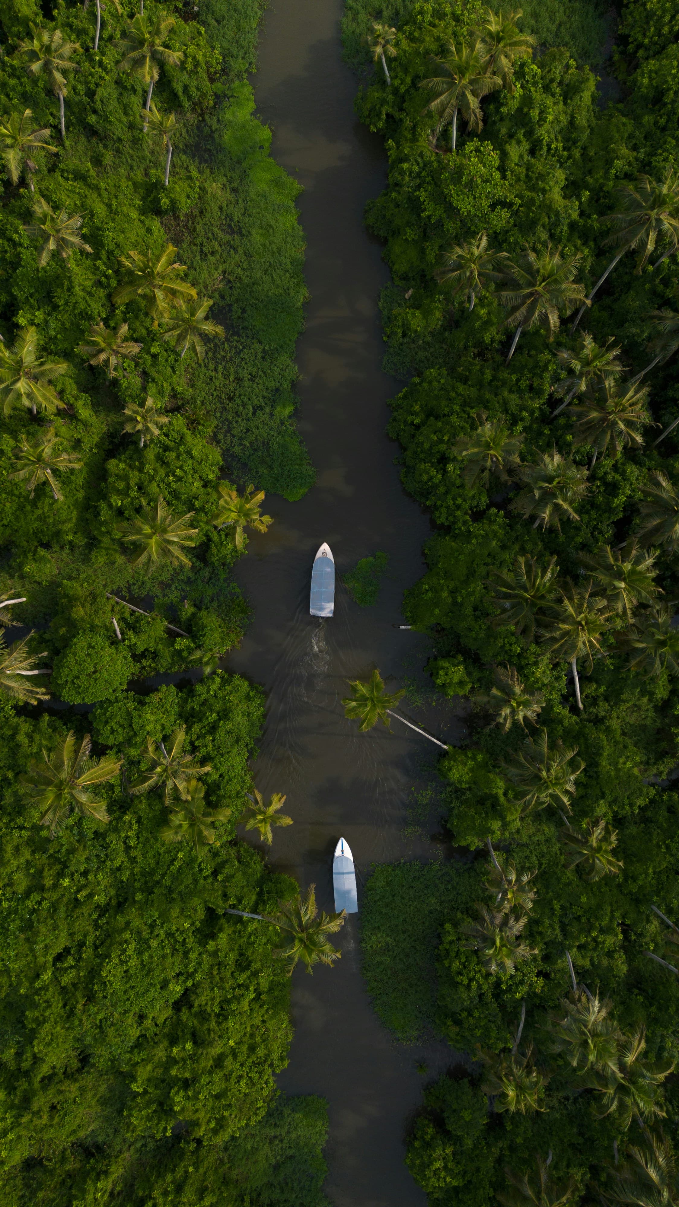 Boats moving along a palm-lined backwater canal in Keralam, seen from above