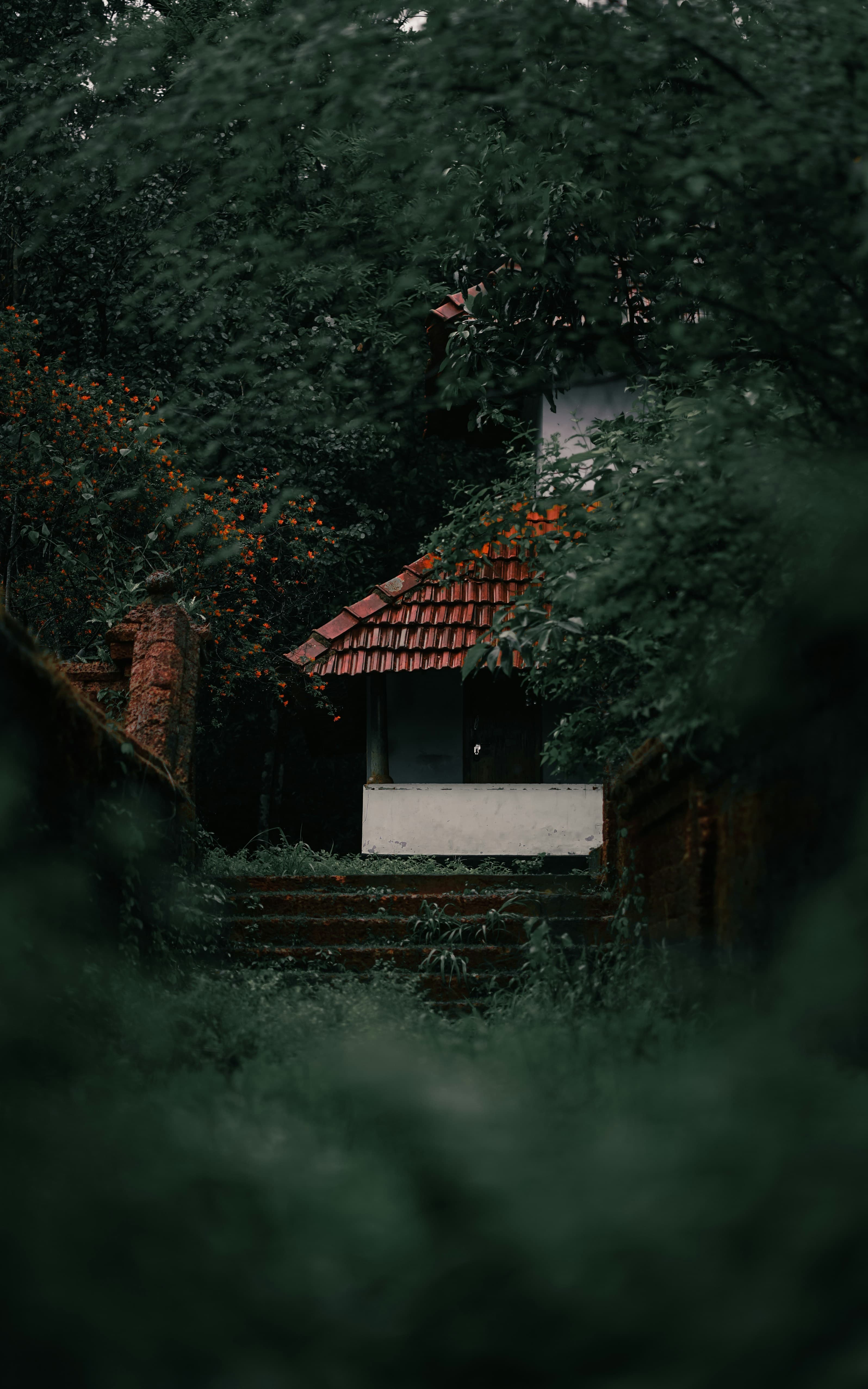 Homestays, villas & resorts in Keralam & beyond